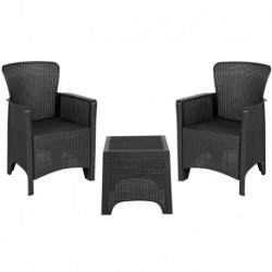 MFO Dark Gray Faux Rattan Plastic Chair Set with Matching Side Table
